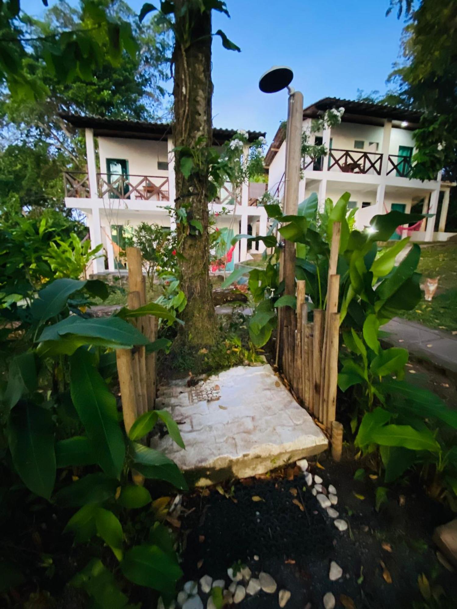 Coco Dende Velha Boipeba